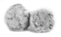 Tyrolean Dumplings-icon