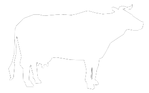 premium-manzo-vitello